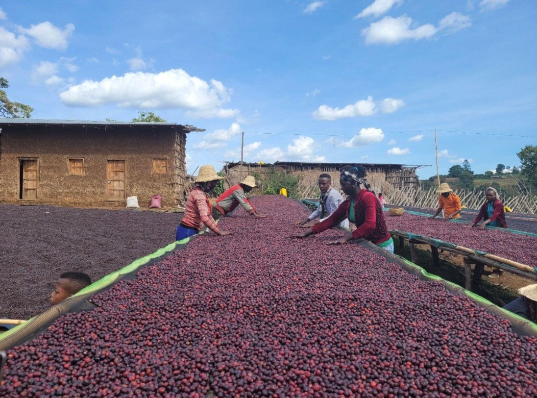 Why are coffee prices going up?