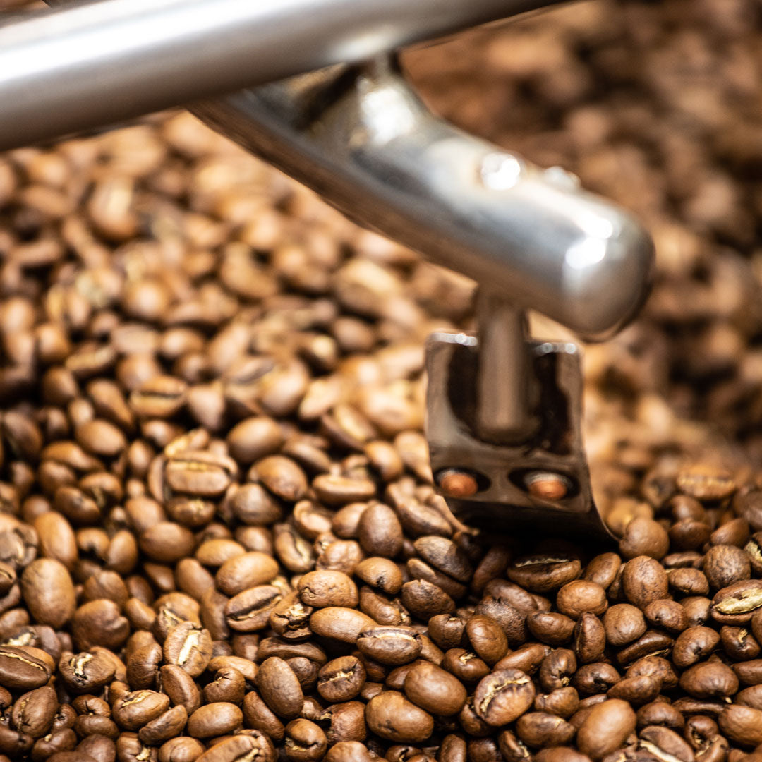 Seasonal Blends & Decaf