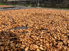 Easter Anaerobic Natural Blend